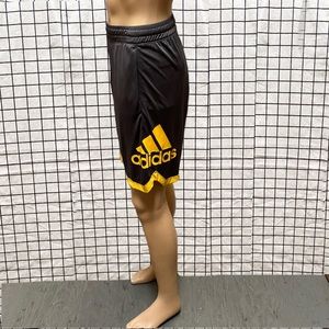 badge of sport shorts